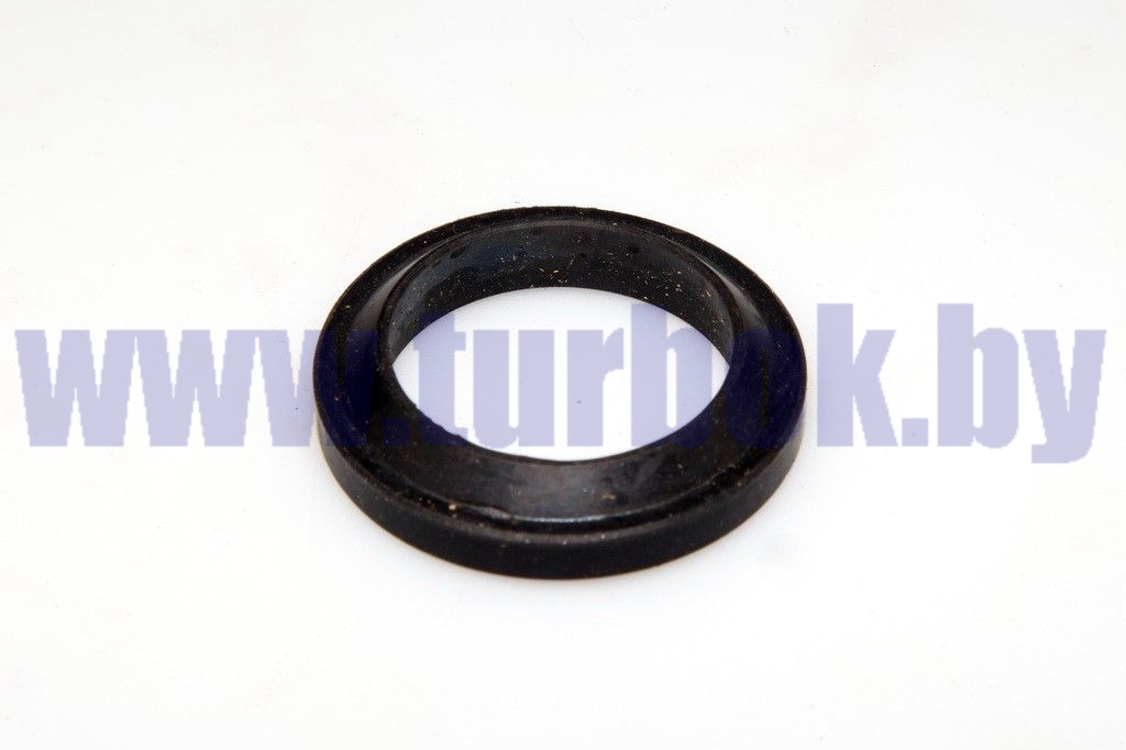 Грязесъёмник