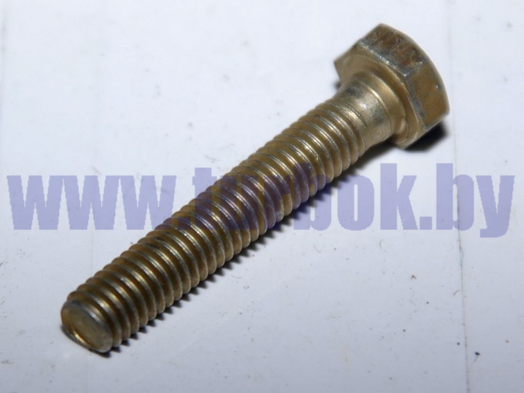 Болт М06-6g*35