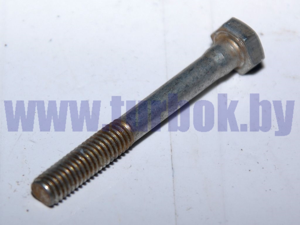Болт М06-6g*50