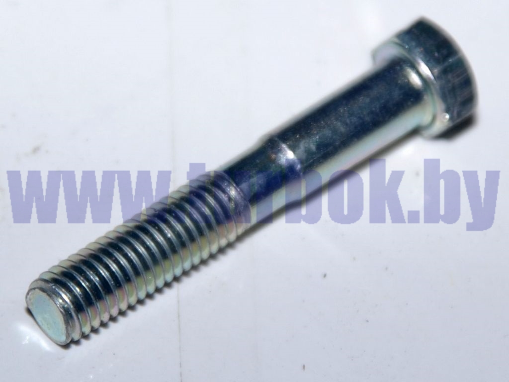 Болт М08-6g*50