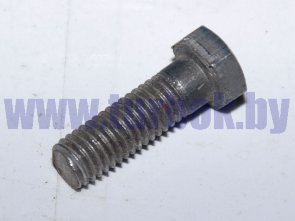 Болт М08-6g*25