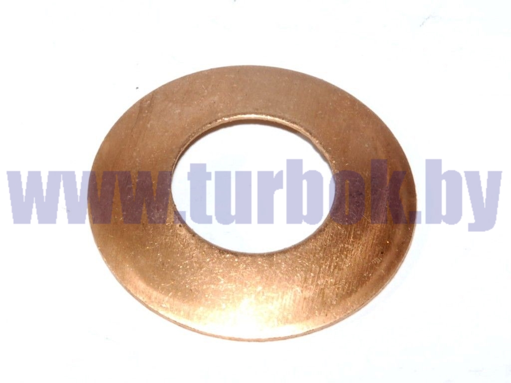 Шайба сателита