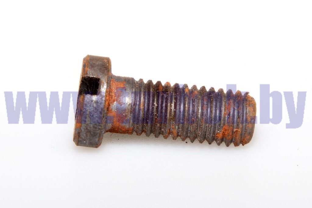 Винт специальный