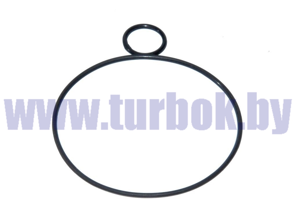 Кольцо уплотнительное насоса масляного КПП