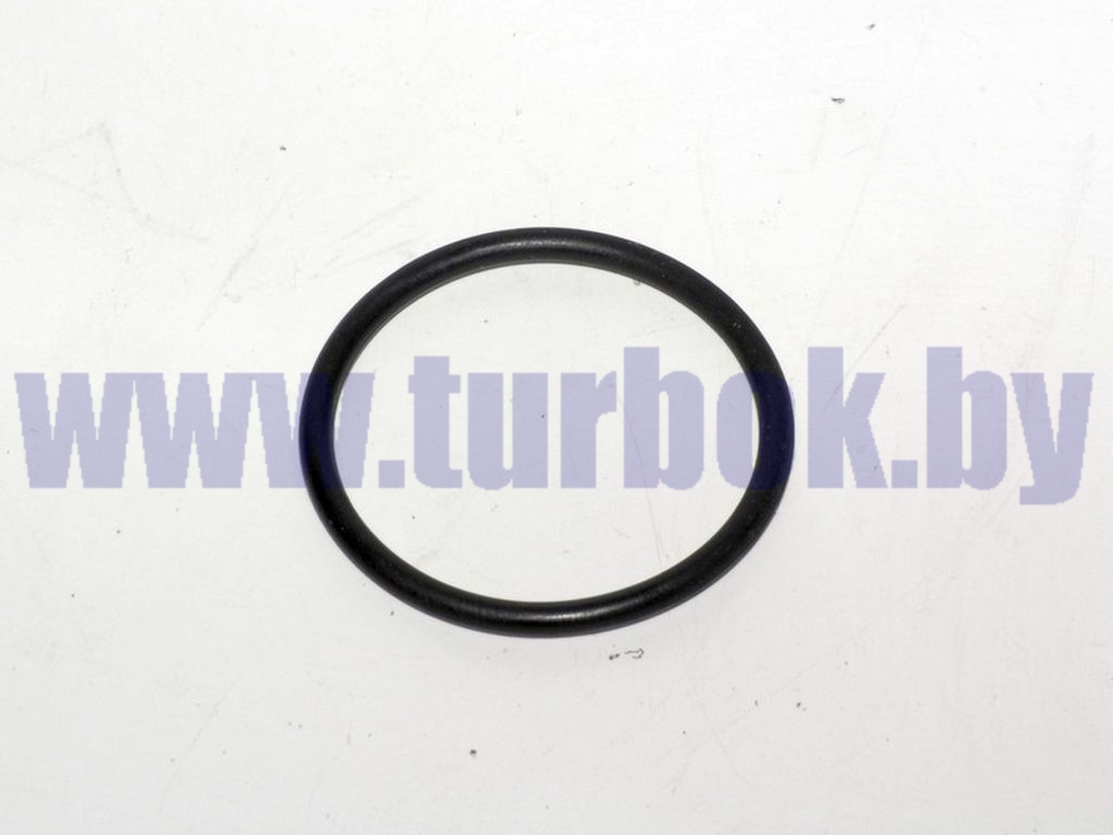Кольцо системы охлаждения уплотнительное КАМАЗ-65115