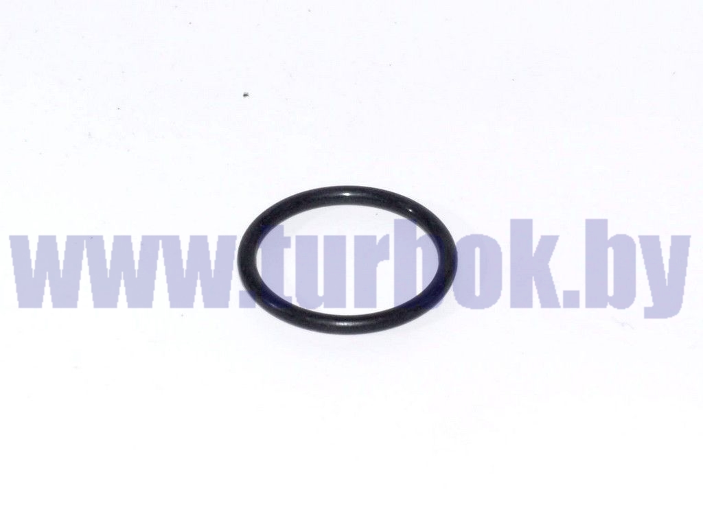 Кольцо 024*028*25 уплотнительное форсунки ТНВД