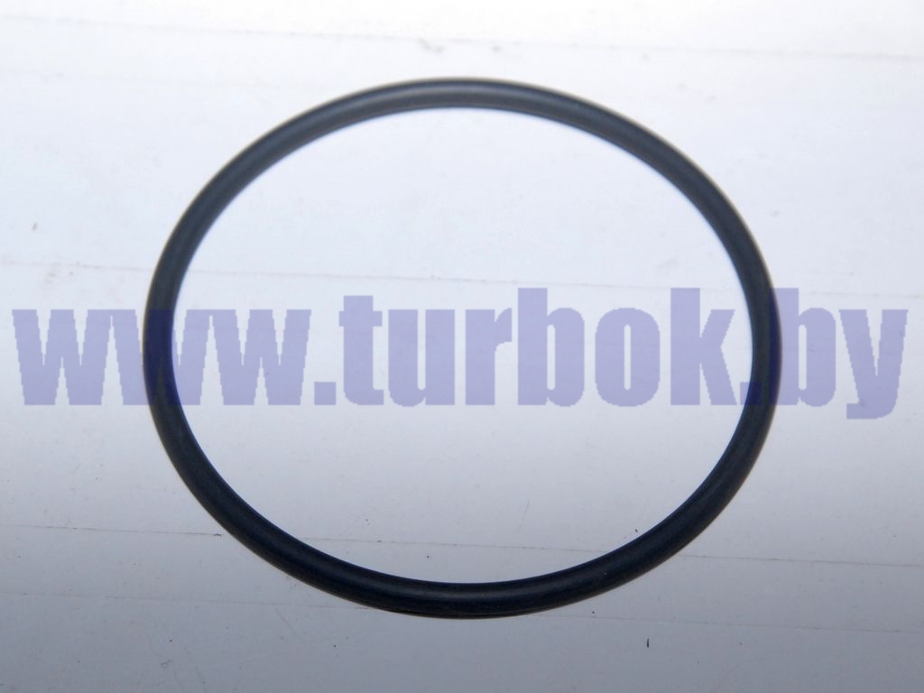 Кольцо 280*290*58*2*2