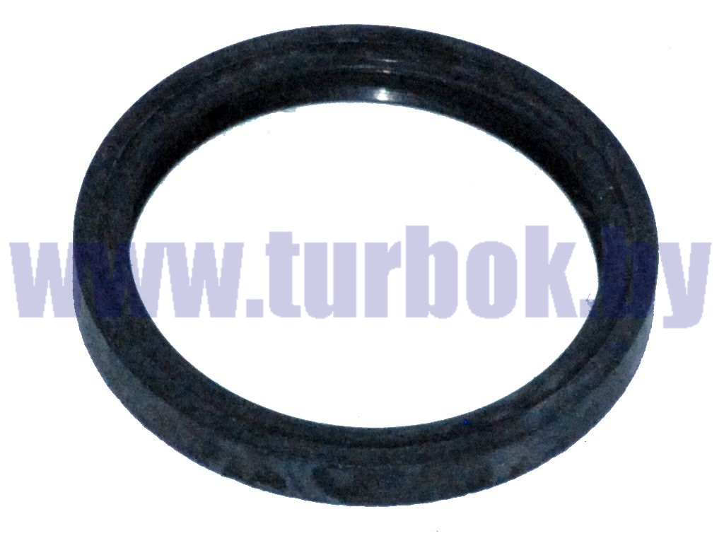 Кольцо уплотнительное кулака разжимного тормоза переднего КАМАЗ-65115