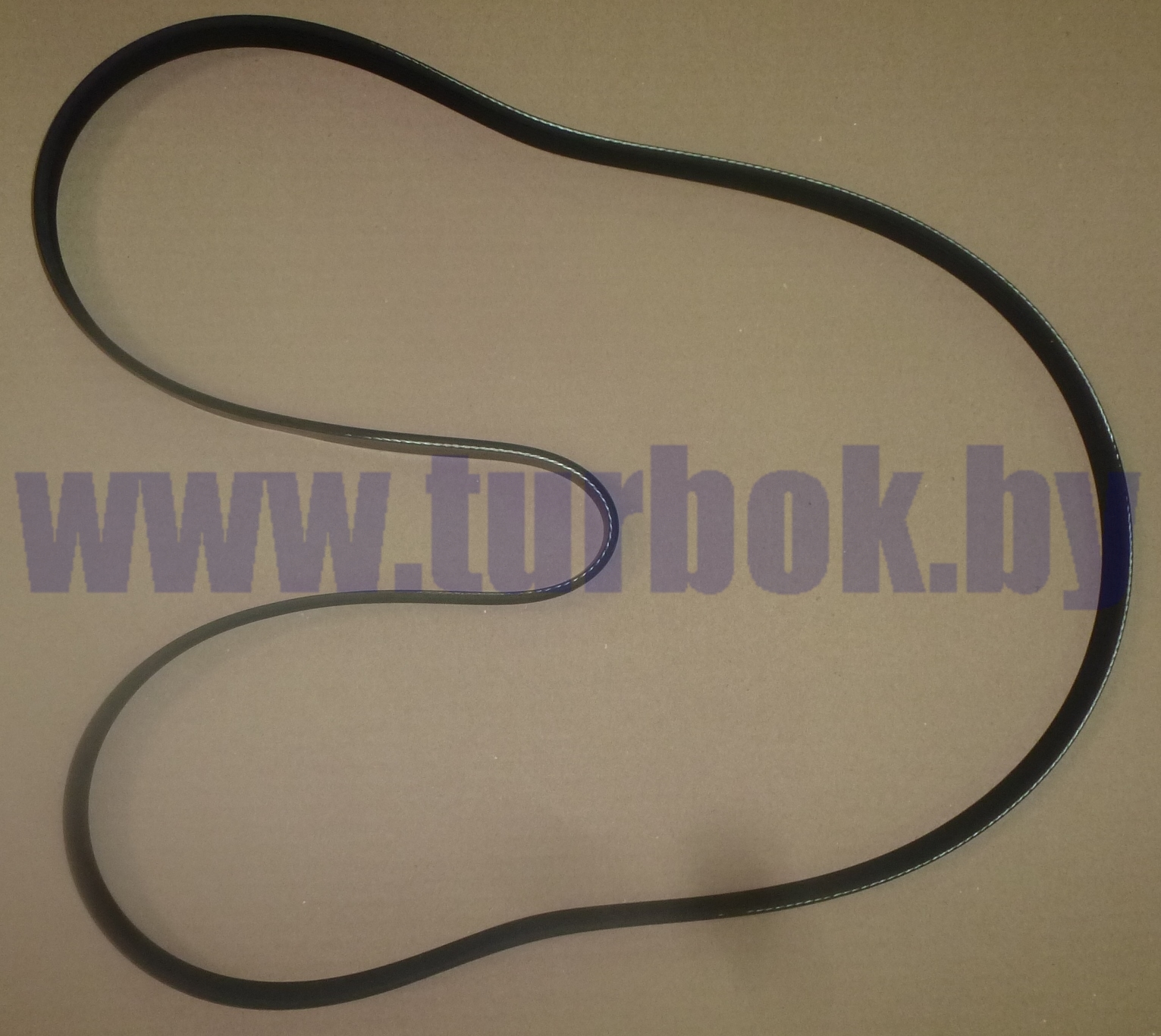 Ремень насоса водяного, генератора КАМАЗ-6520 Евро-2 21,36х5-1703