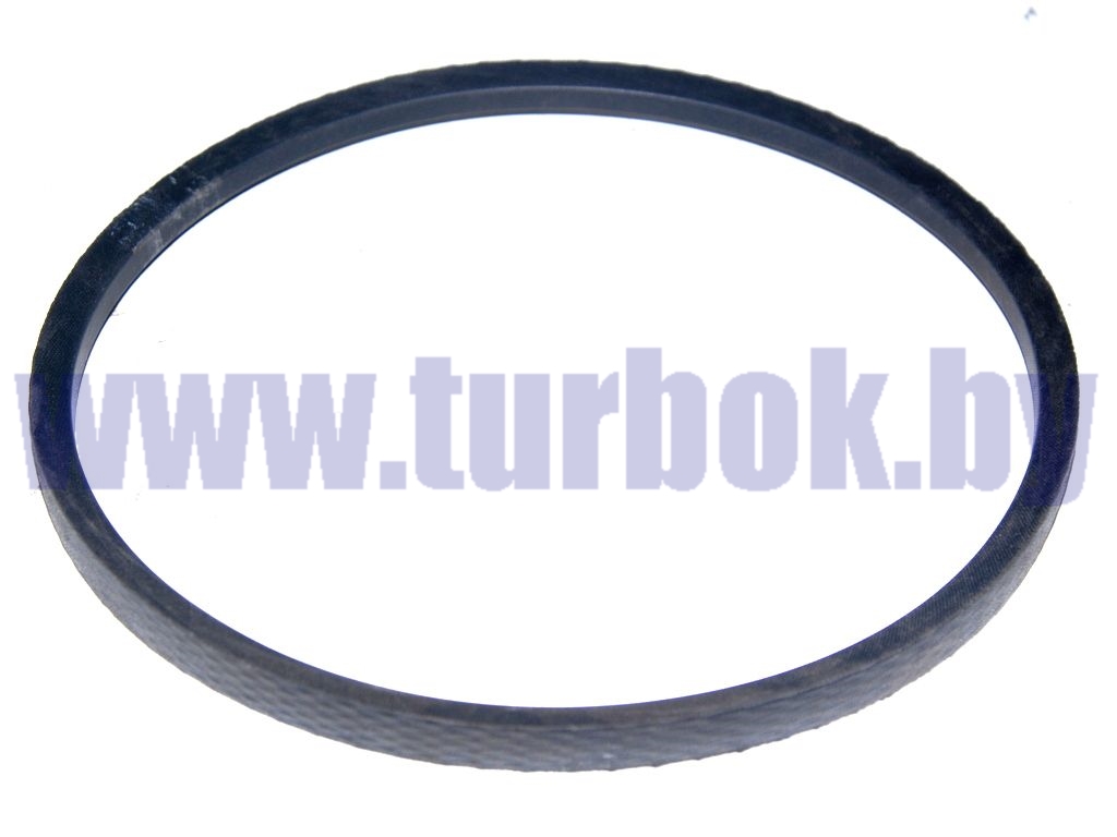 Ремень насоса водяного Евро-0 (плоский) 17х11-887 RUBENA