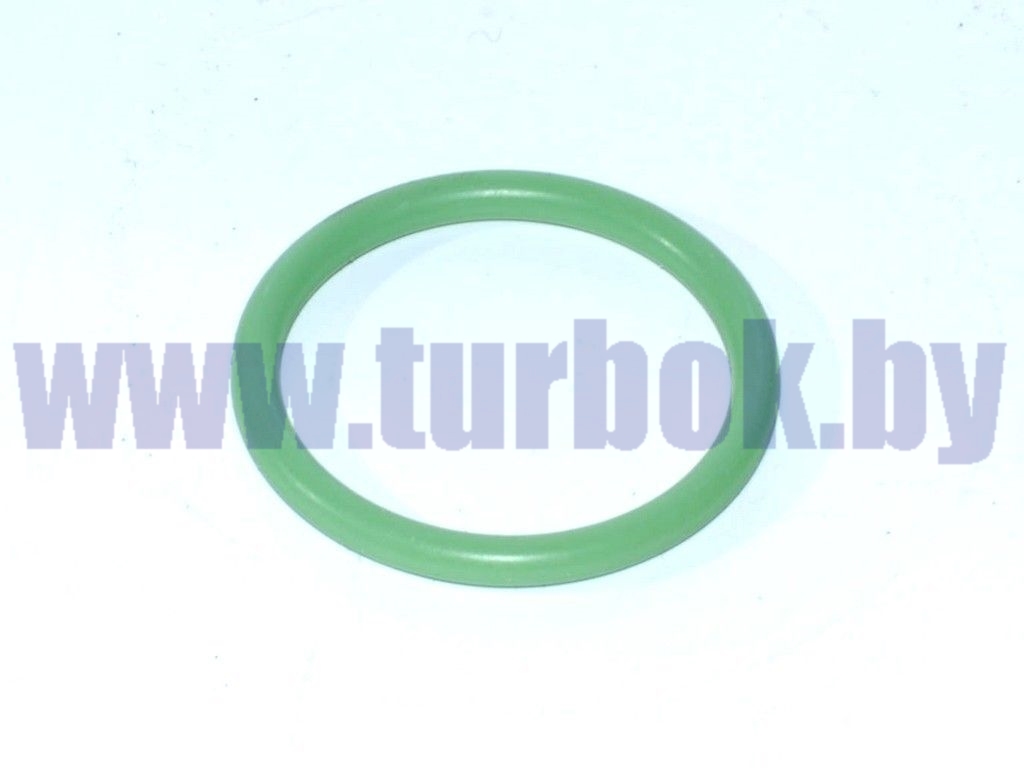 Кольцо фланца трубы подводящей ЯМЗ-650.10 силикон