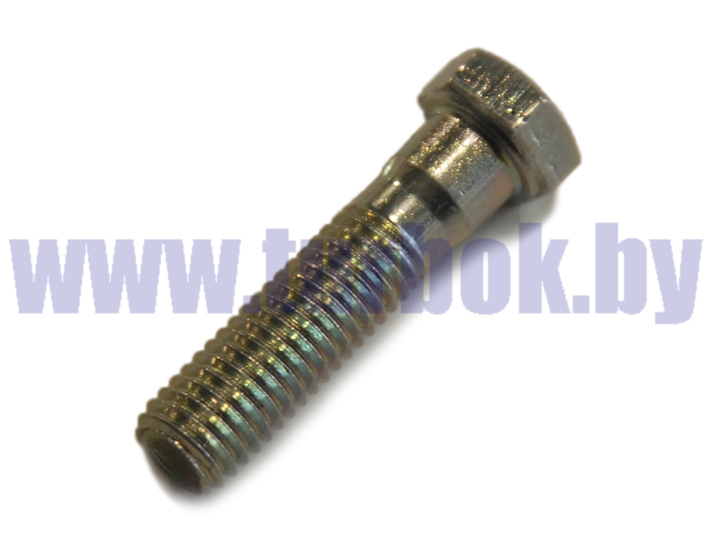 Болт М10-6g*40