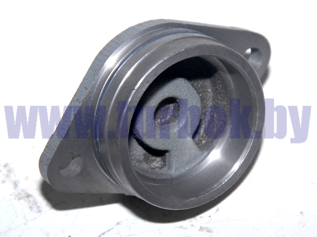 Корпус подшипника заднего