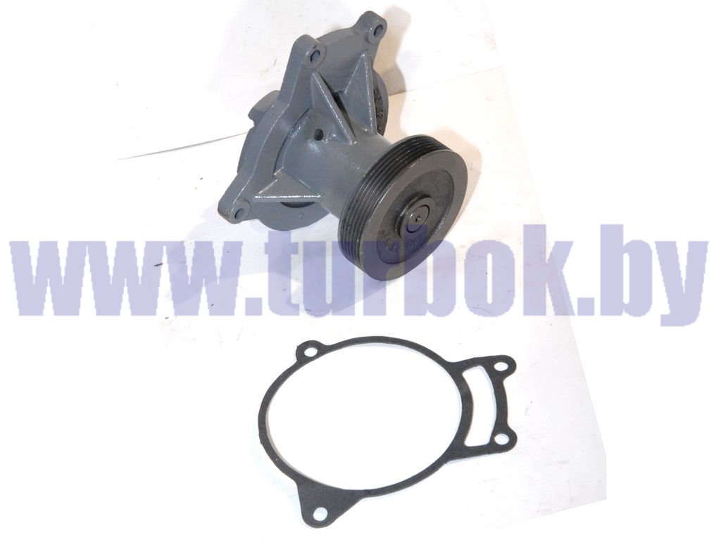 Насос водяной ЕВРО-2