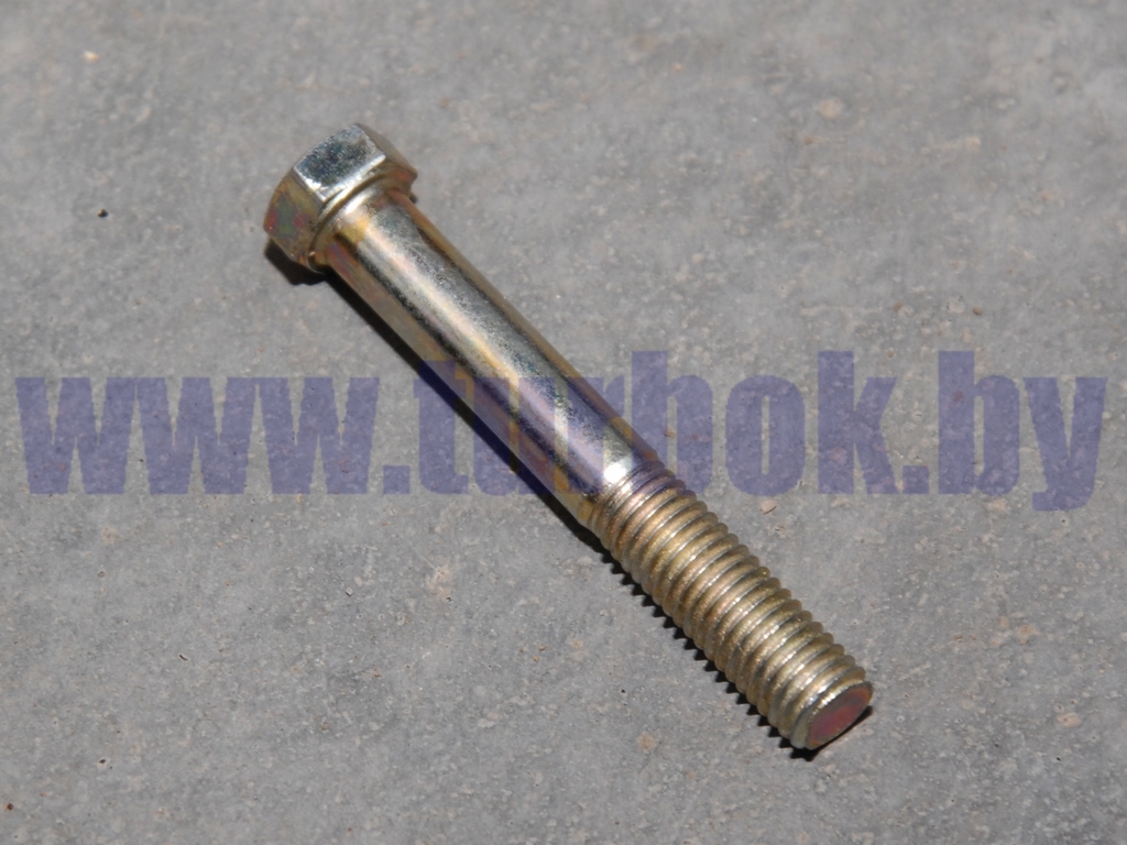 Болт М10-6Дх70 крепления корзины лепестковой