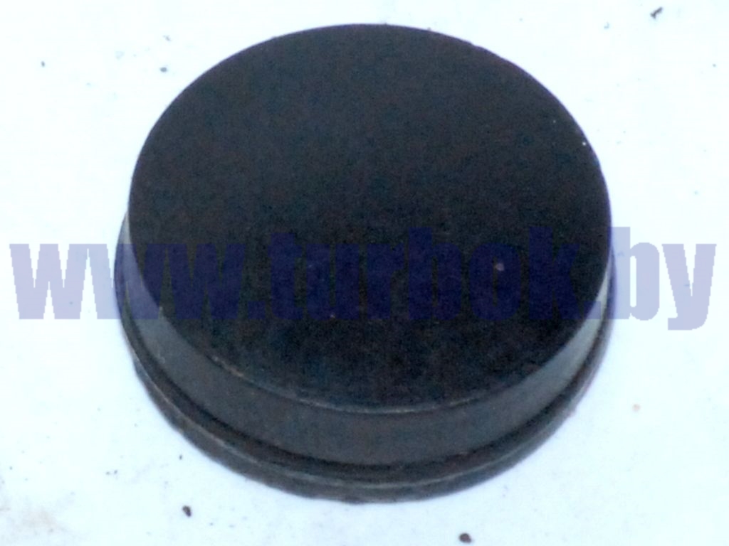 Крышка в поручень наружный